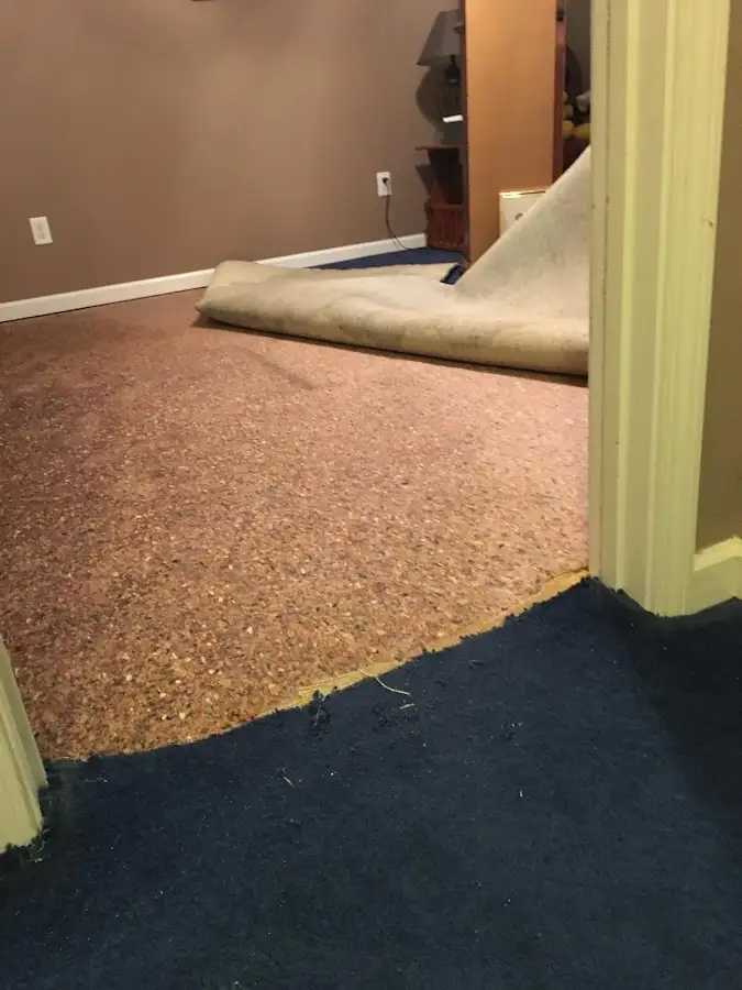 Carpet pad removal revealing water damage during Water Mitigation Services in Nether Providence
