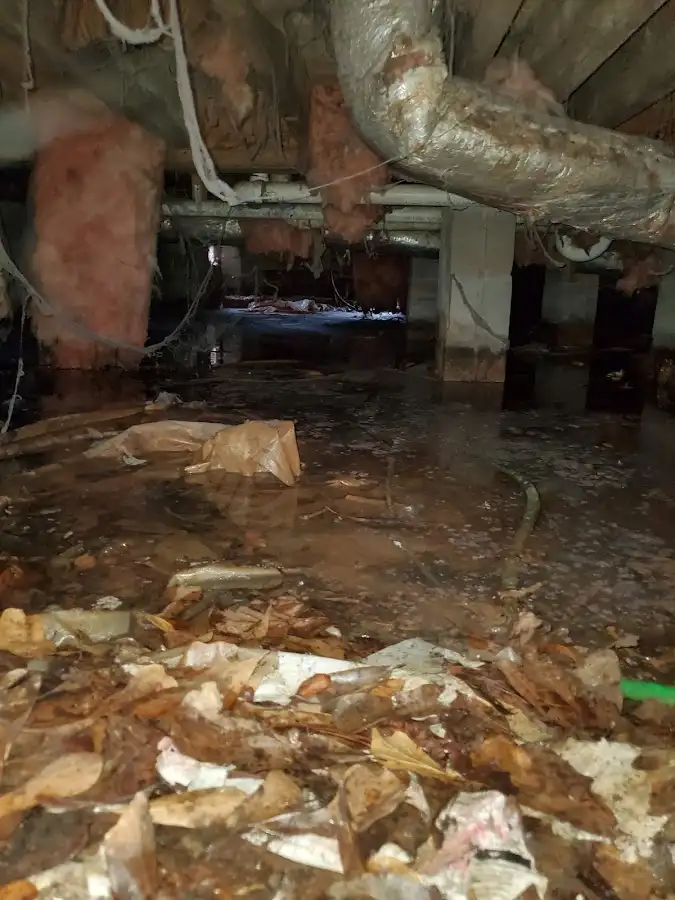 Crawl space flood assessment for Leak Detection & Repair in Nether Providence