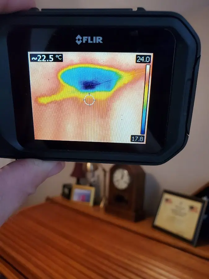 Thermal imaging inspection for water damage in Nether Providence
