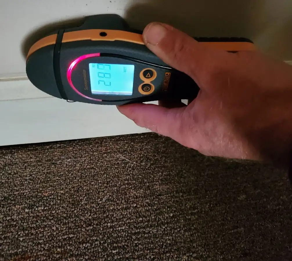 Moisture detection at baseboard during Mold Inspection & Testing in Nether Providence